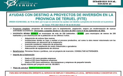 AYUDAS CON DESTINO A PROYECTOS DE INVERSIÓN EN LA PROVINCIA DE TERUEL (FITE)